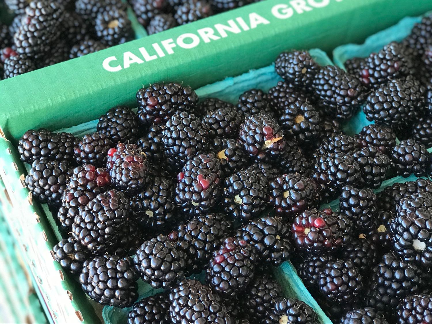 Blackberries - Flat