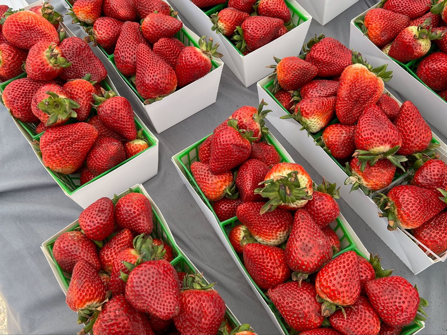 Strawberries - flat (12 pts)