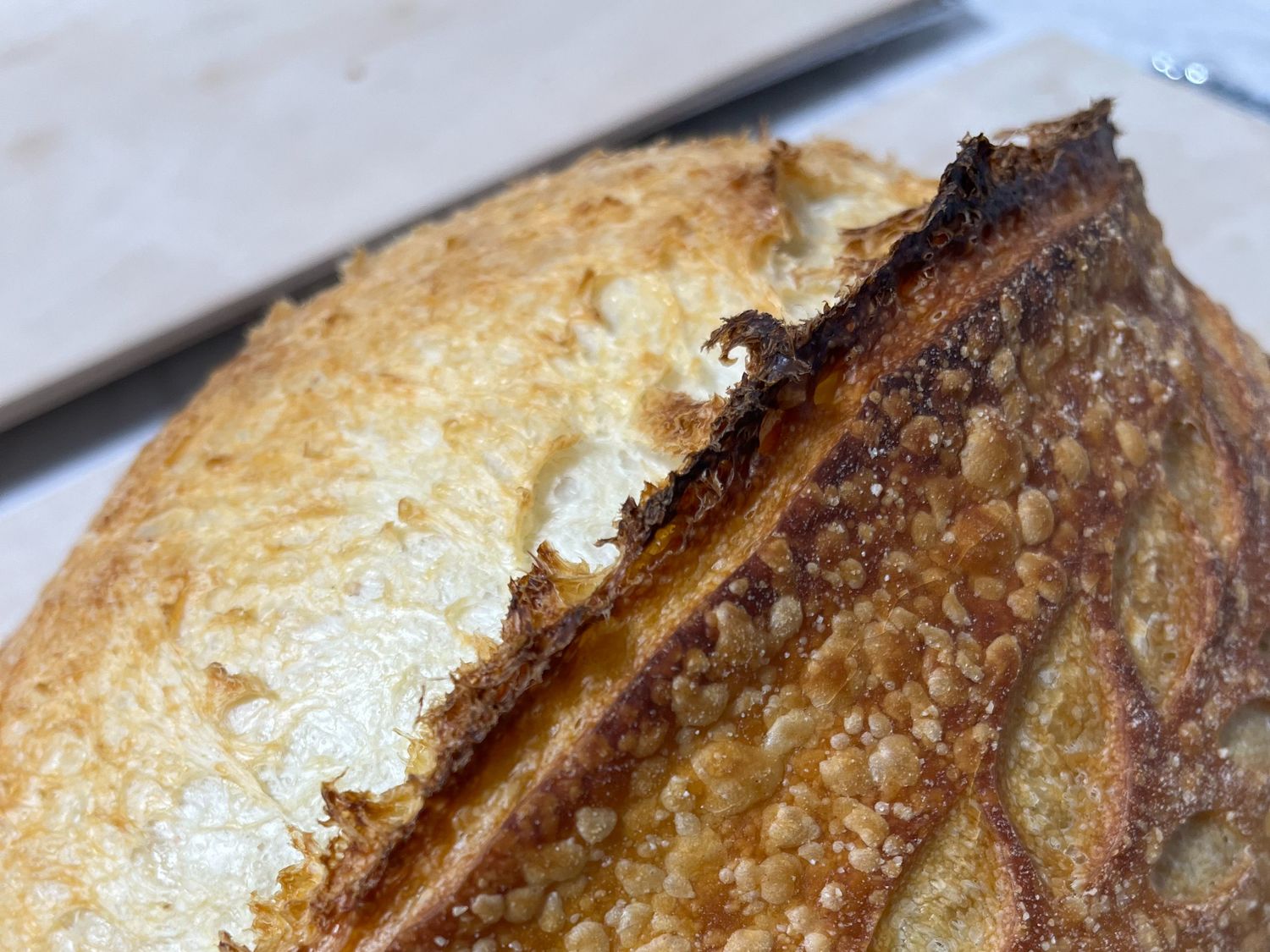 Sourdough Bread - White