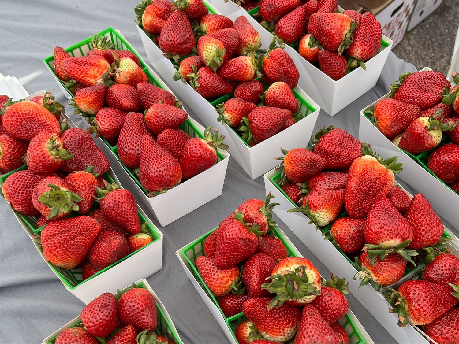 Strawberries, Organic Flat